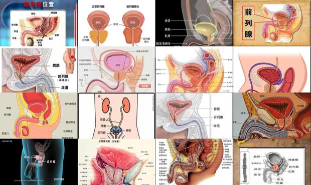 汕头前列腺在男人的那个部位